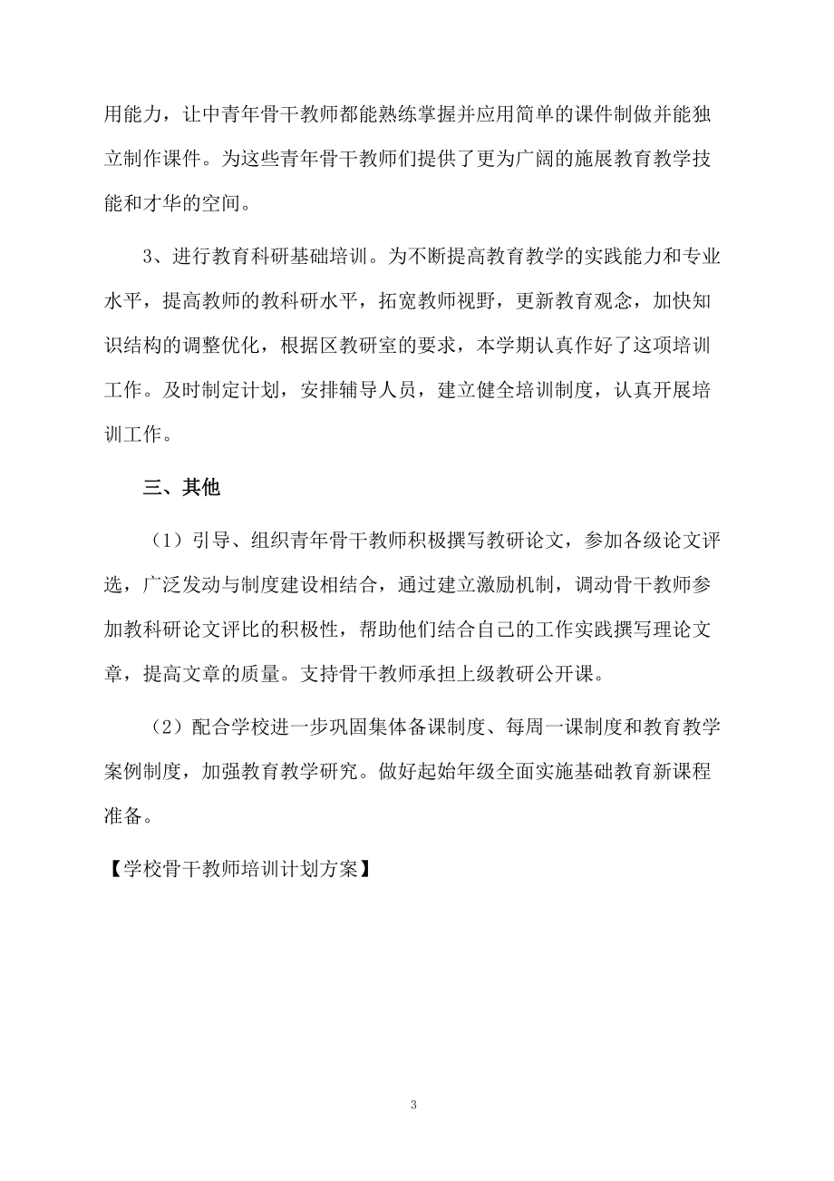 学校骨干教师培训计划方案.docx_第3页