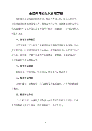 基层共青团组织管理方案.docx