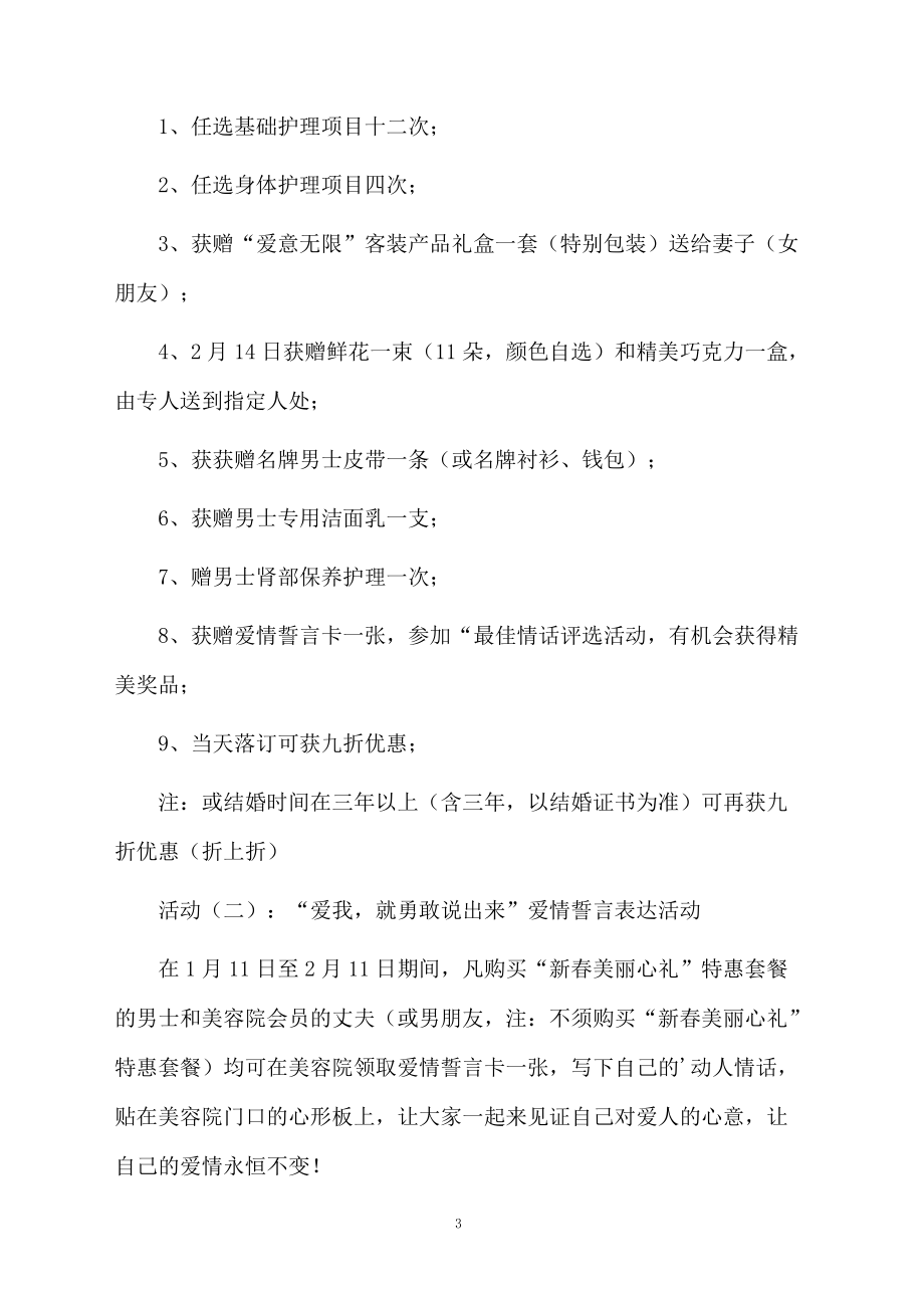 大型促销活动方案.docx_第3页