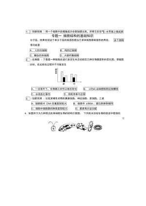 专题一细胞结构基础知识.doc