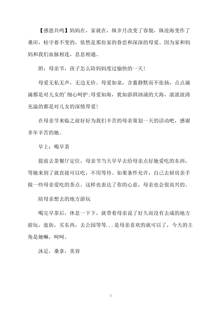 商家母亲节促销活动方案.docx_第3页