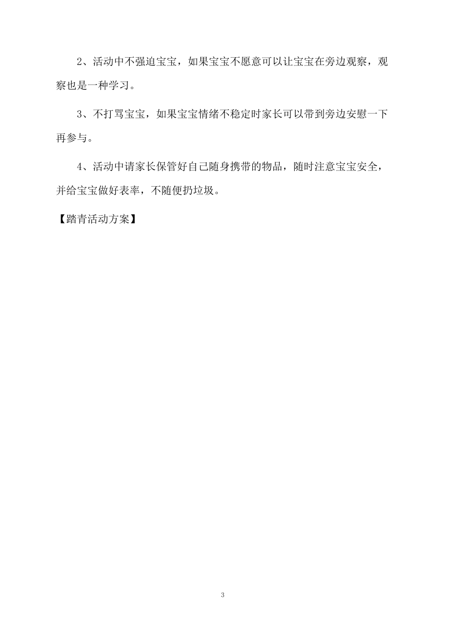 踏青活动方案.docx_第3页