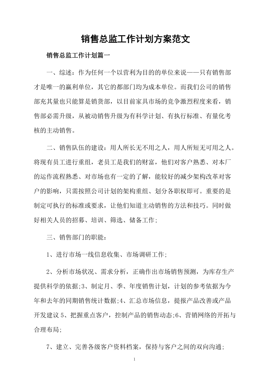 销售总监工作计划方案范文.docx_第1页