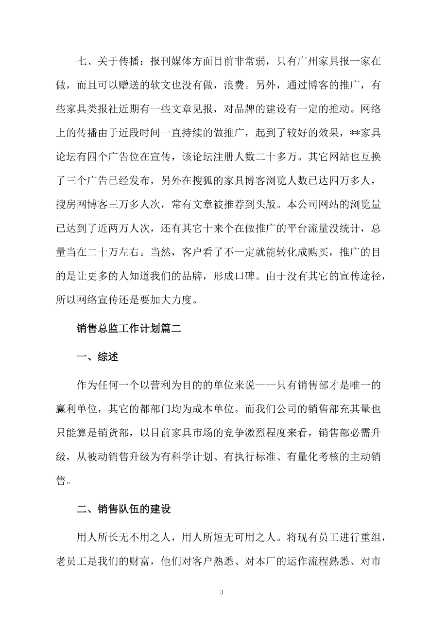 销售总监工作计划方案范文.docx_第3页