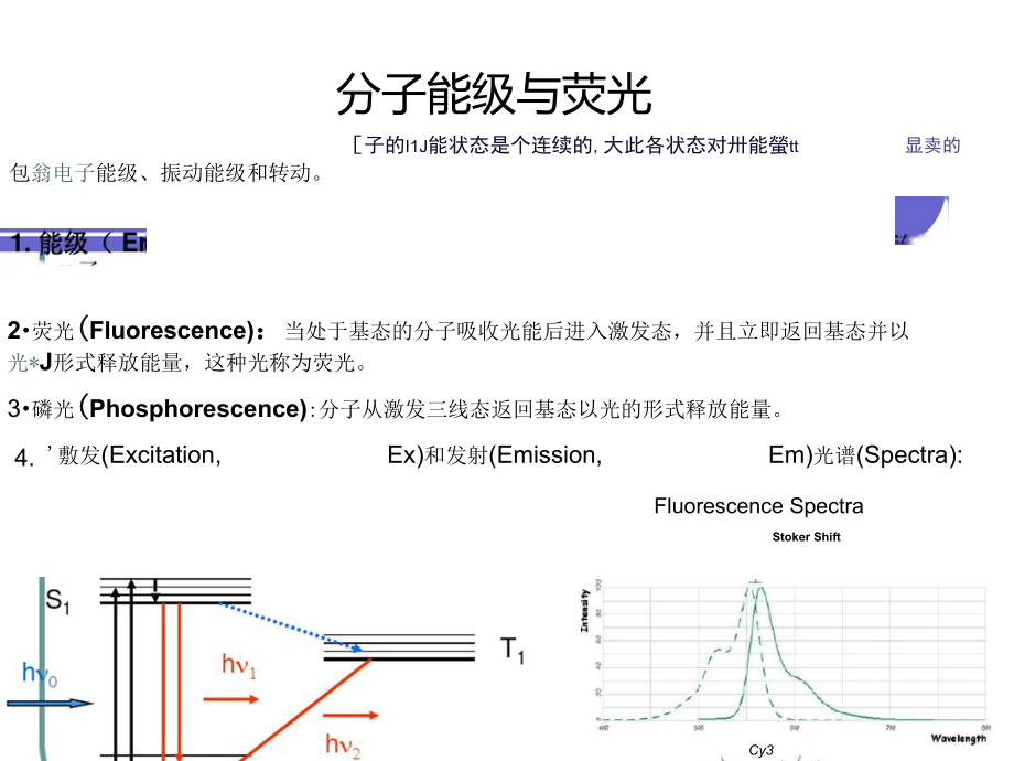 荧光共振能量转移FERT.doc_第3页