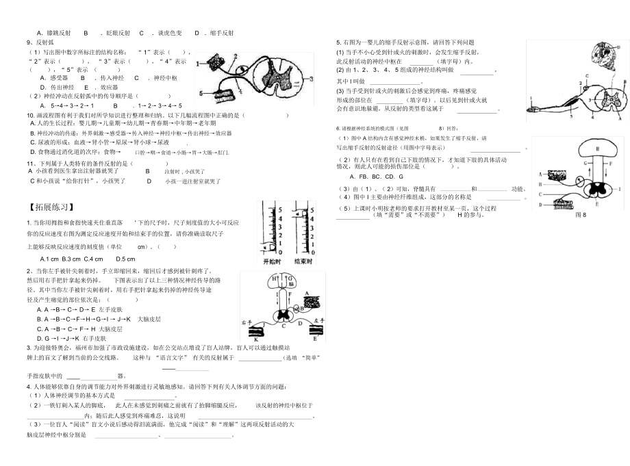 初中生物总复习学案.docx_第2页