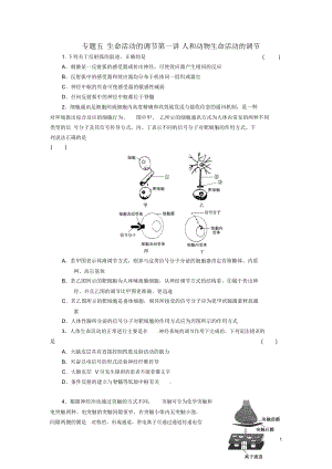 (通用版)2013届高三生物二轮测试题人和动物生命活动的调节新人教版必修1.docx