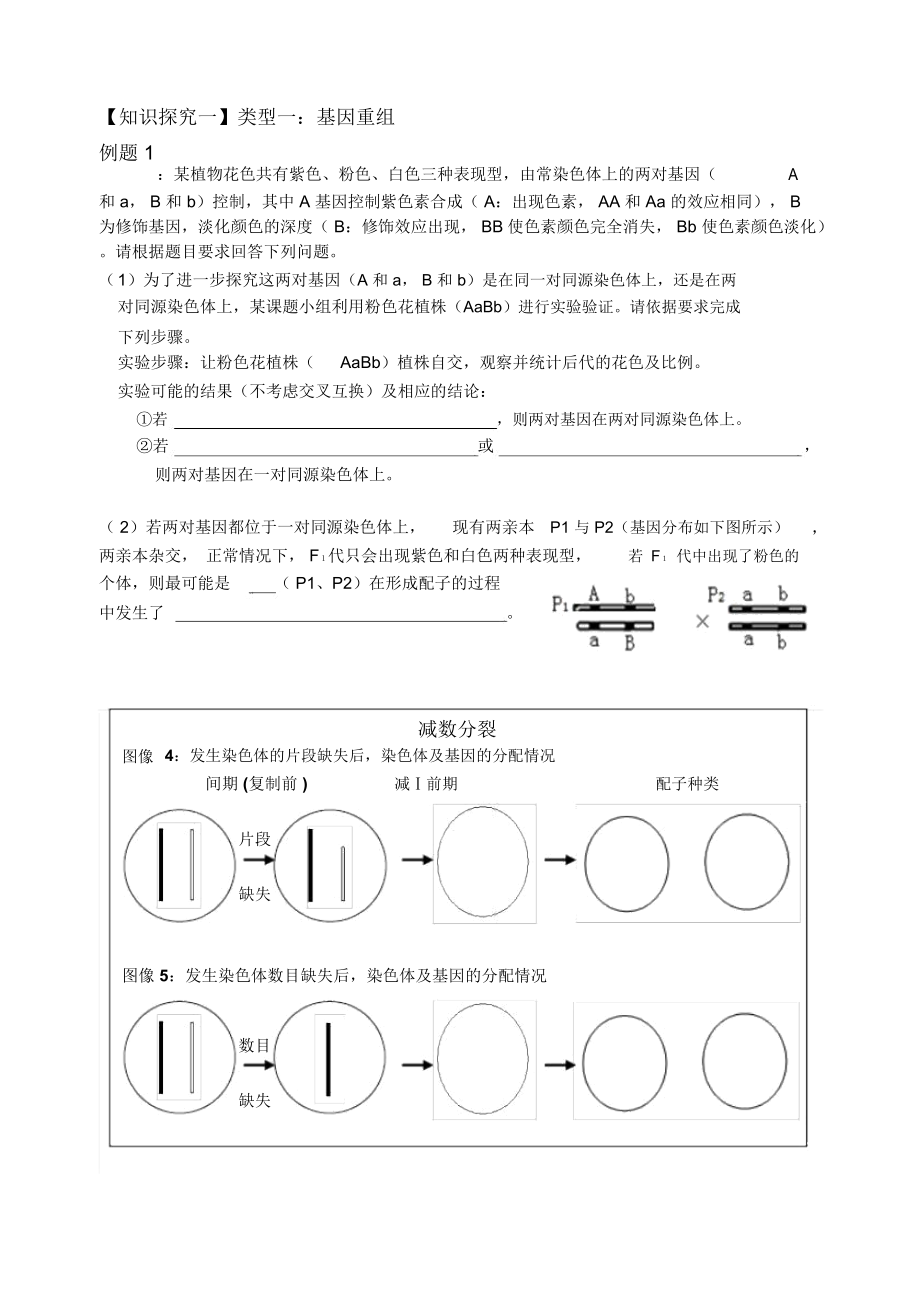 变异和遗传的细胞学基础高三生物专题复习公开课.docx_第2页