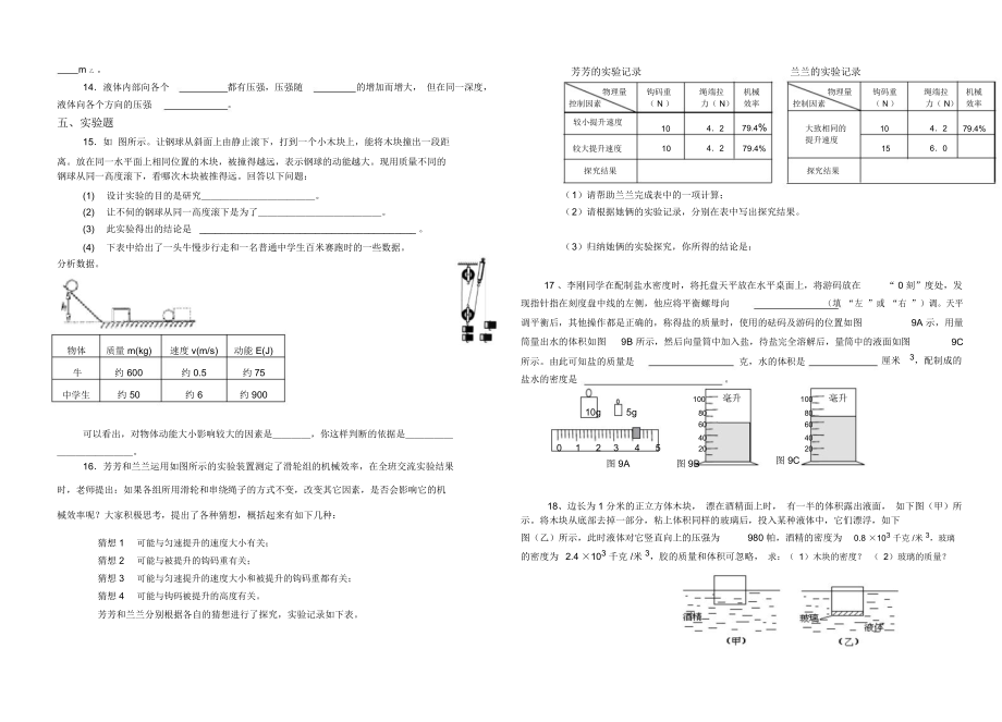 初中物理总复习《力学专题》.docx_第2页