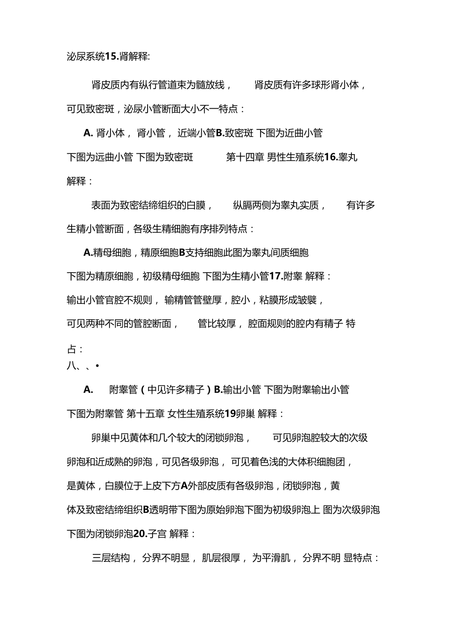 组织胚胎切片复习B精品.doc_第2页