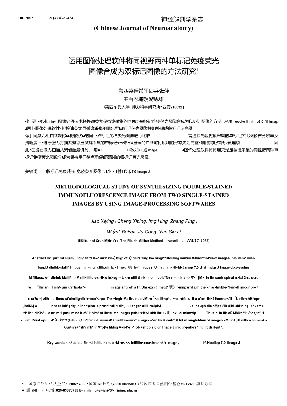 运用图像处理软件将同视野两种单标记免疫荧光图像合成为双标记.doc_第1页