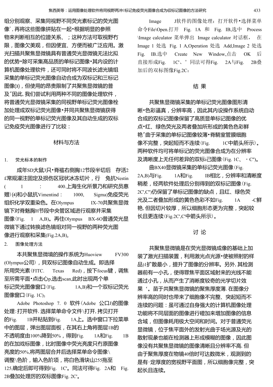 运用图像处理软件将同视野两种单标记免疫荧光图像合成为双标记.doc_第3页