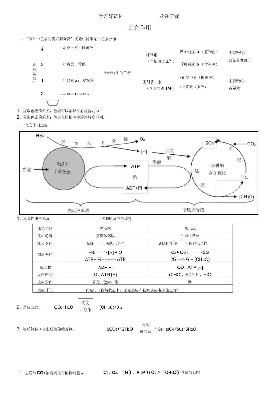 “细胞呼吸光合作用”重点知识梳理.docx_第2页