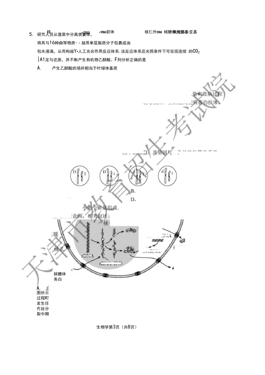 2020年天津普通高中学业水平等级性考试生物真题及答案.docx_第3页