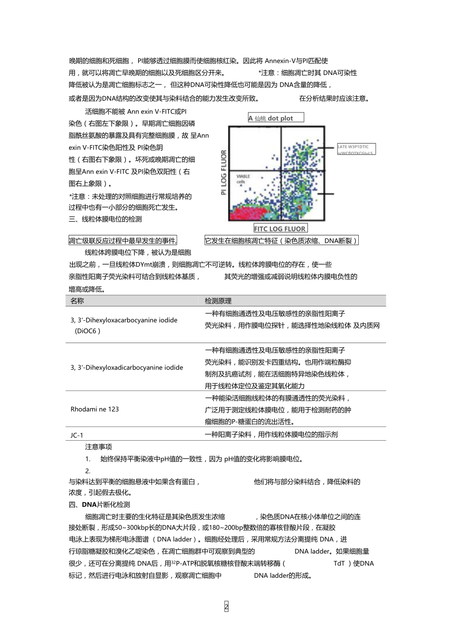 细胞凋亡检测方法.doc_第2页