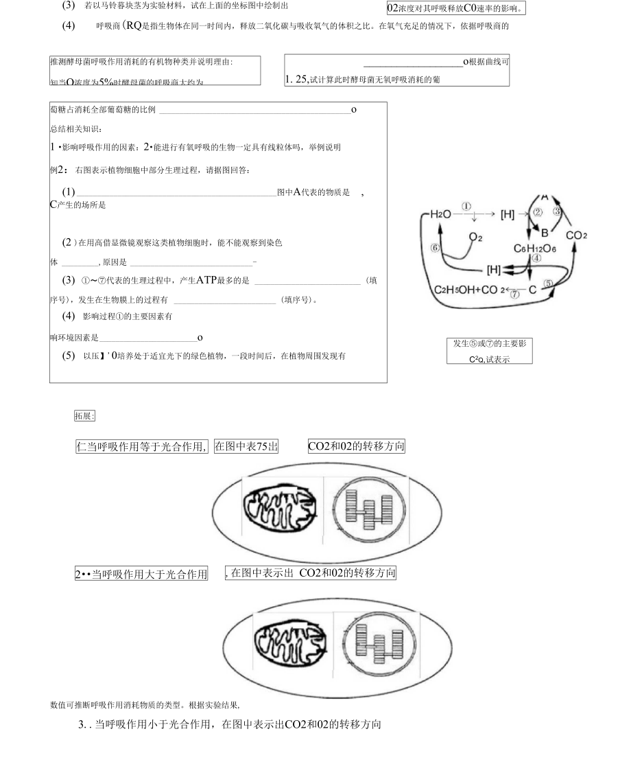 二轮复习光合作用活动单3.doc_第3页