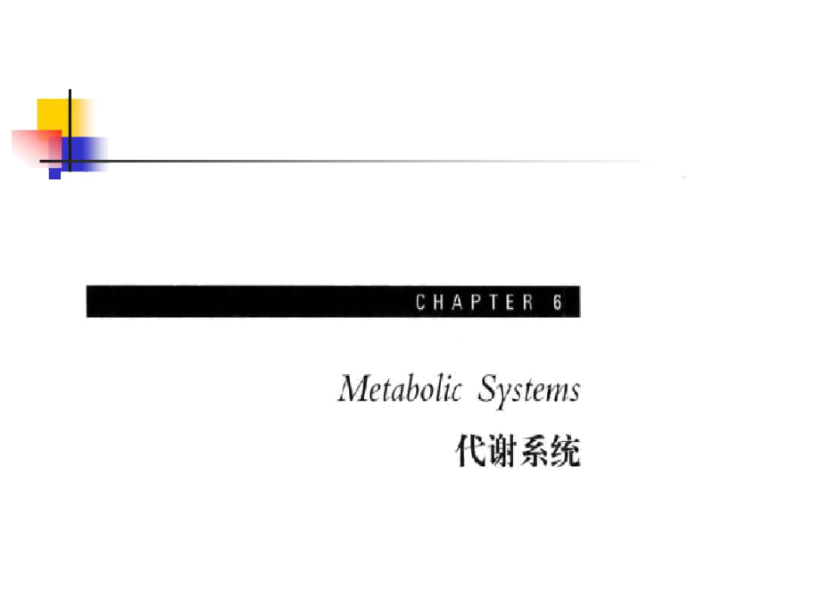 昆虫的消化与营养.doc_第1页