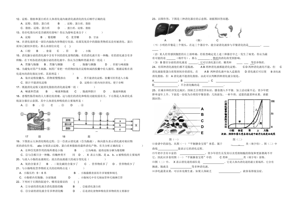 初中生物七年级下册第二章《人体的营养》复习学案.docx_第2页