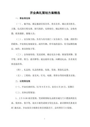 开业典礼策划方案精选.docx