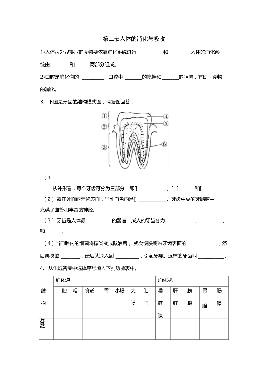 人体的消化和吸收同步练习.docx_第1页