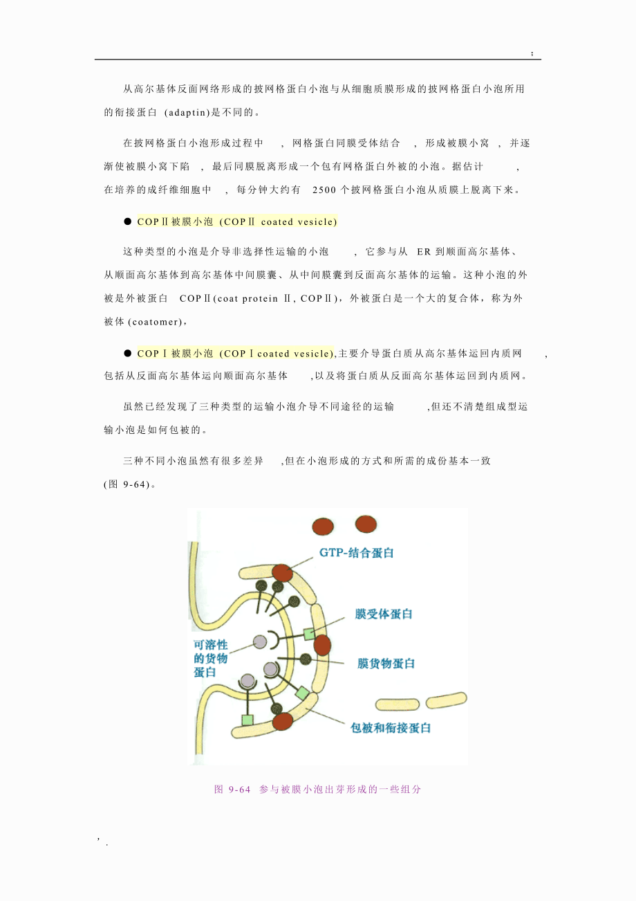 细胞生物学小泡运输的分子机理.docx_第3页