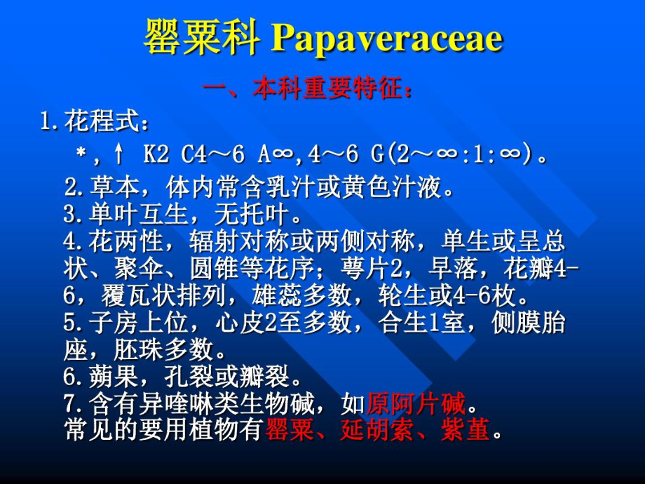 罂粟科Papaveraceae-精选文档.doc_第1页