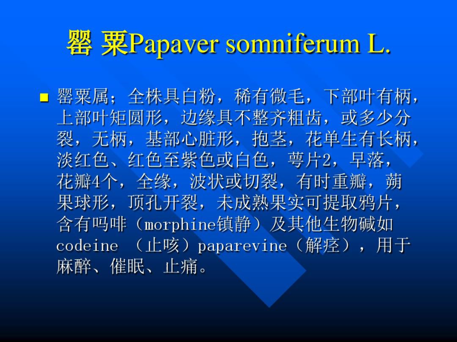 罂粟科Papaveraceae-精选文档.doc_第2页