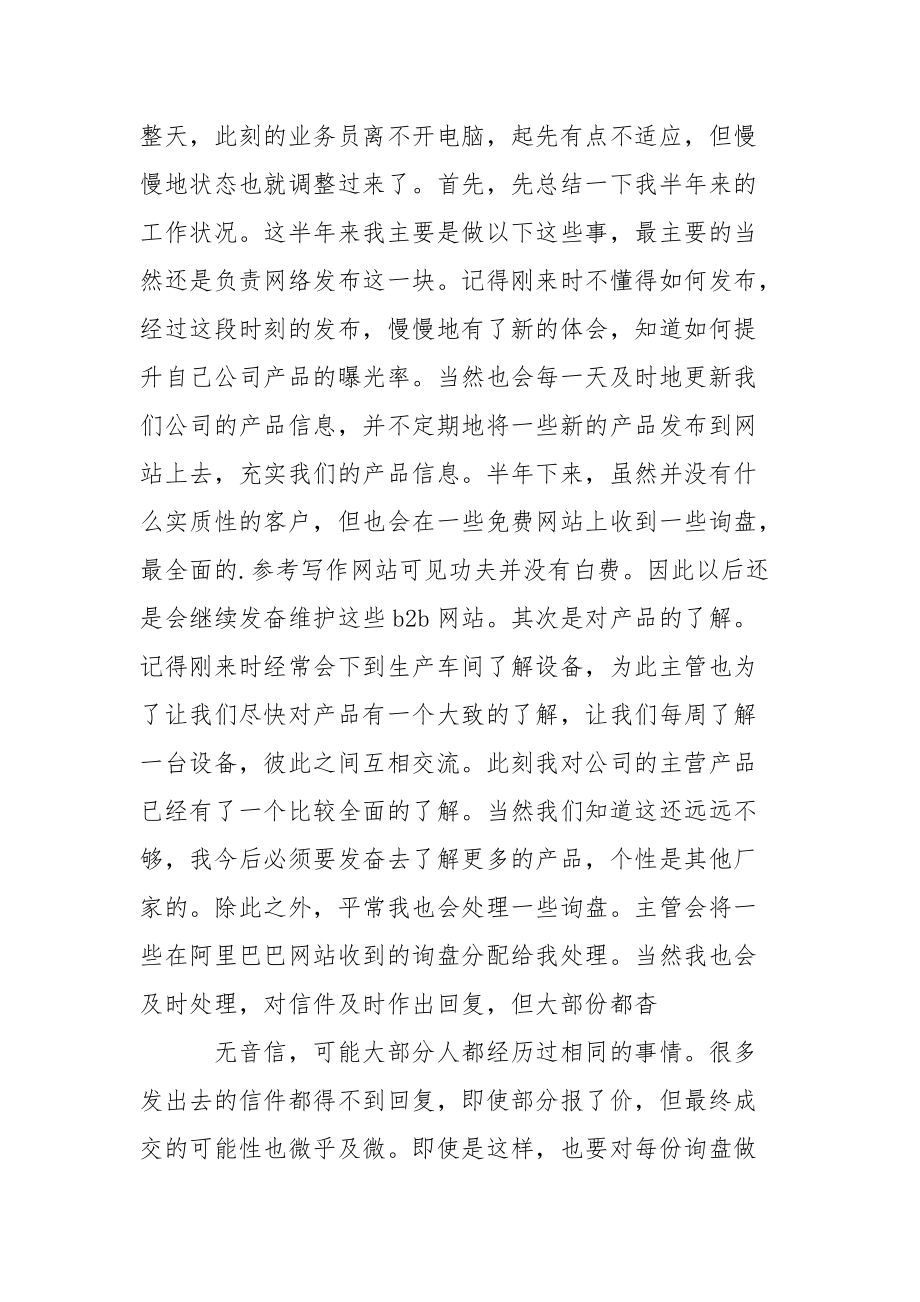 外贸业务员试用期工作总结试.docx_第2页