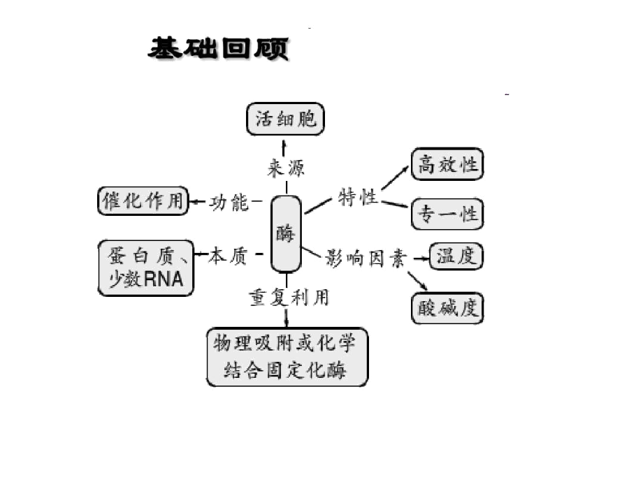 科学_技术_社会酶为生活添姿彩(4).docx_第1页