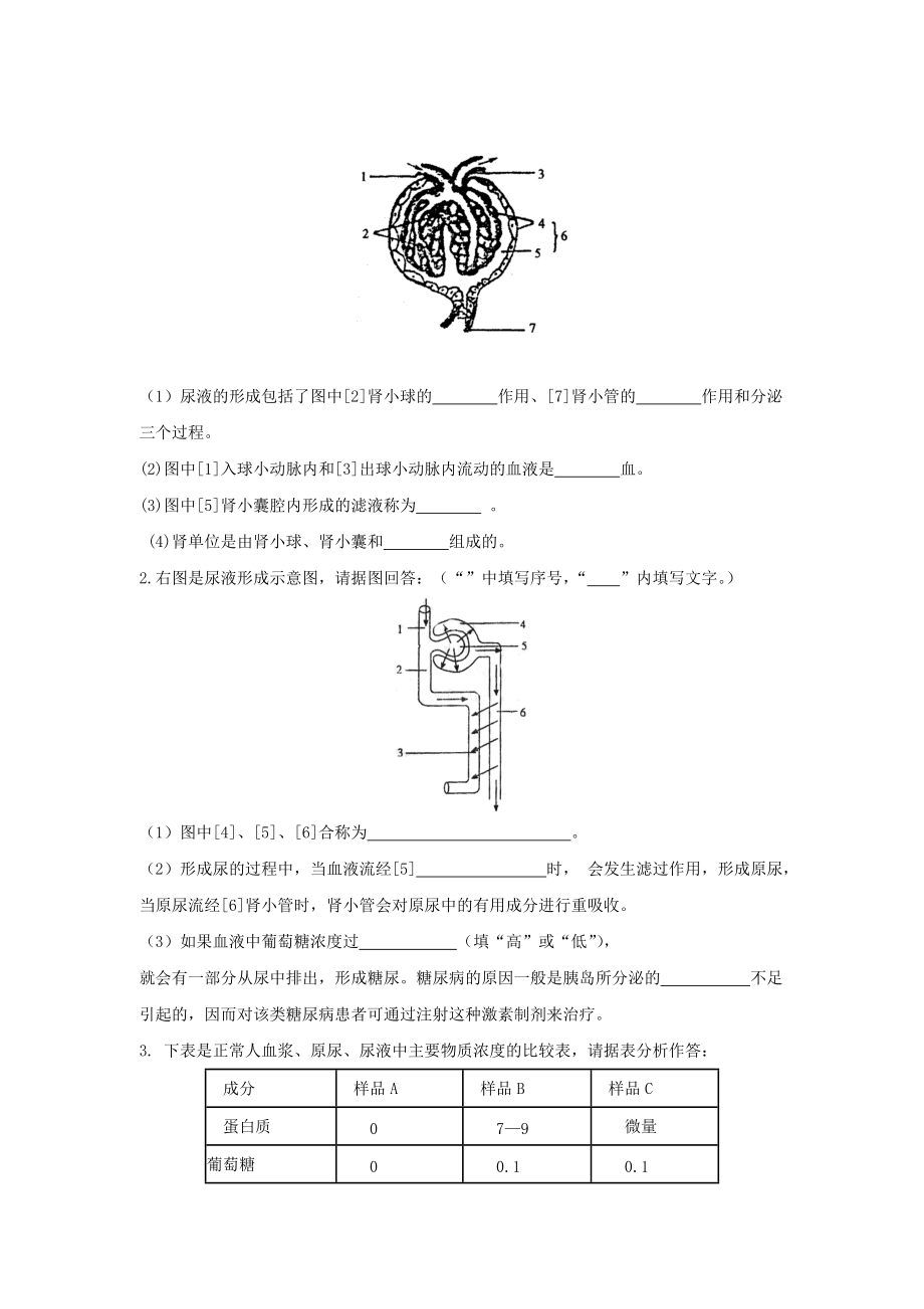 新人教版 中考生物专题复习：人体内废物的排出.doc_第3页