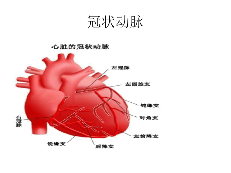 第二节威胁健康的.docx_第3页