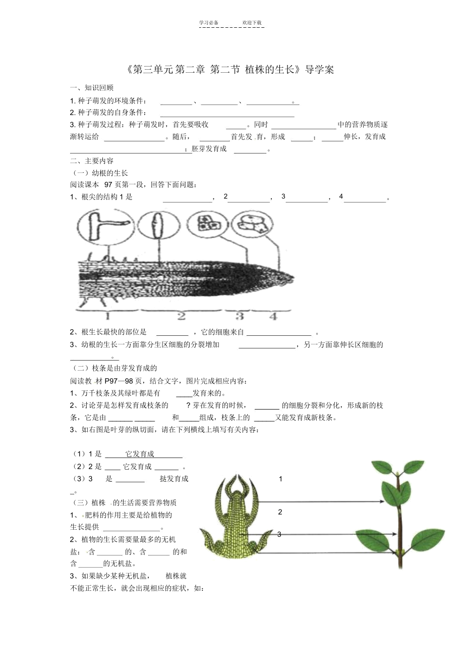 第二中学七年级生物上册《第三单元第二章第二节植株的生长》导学案.docx_第1页