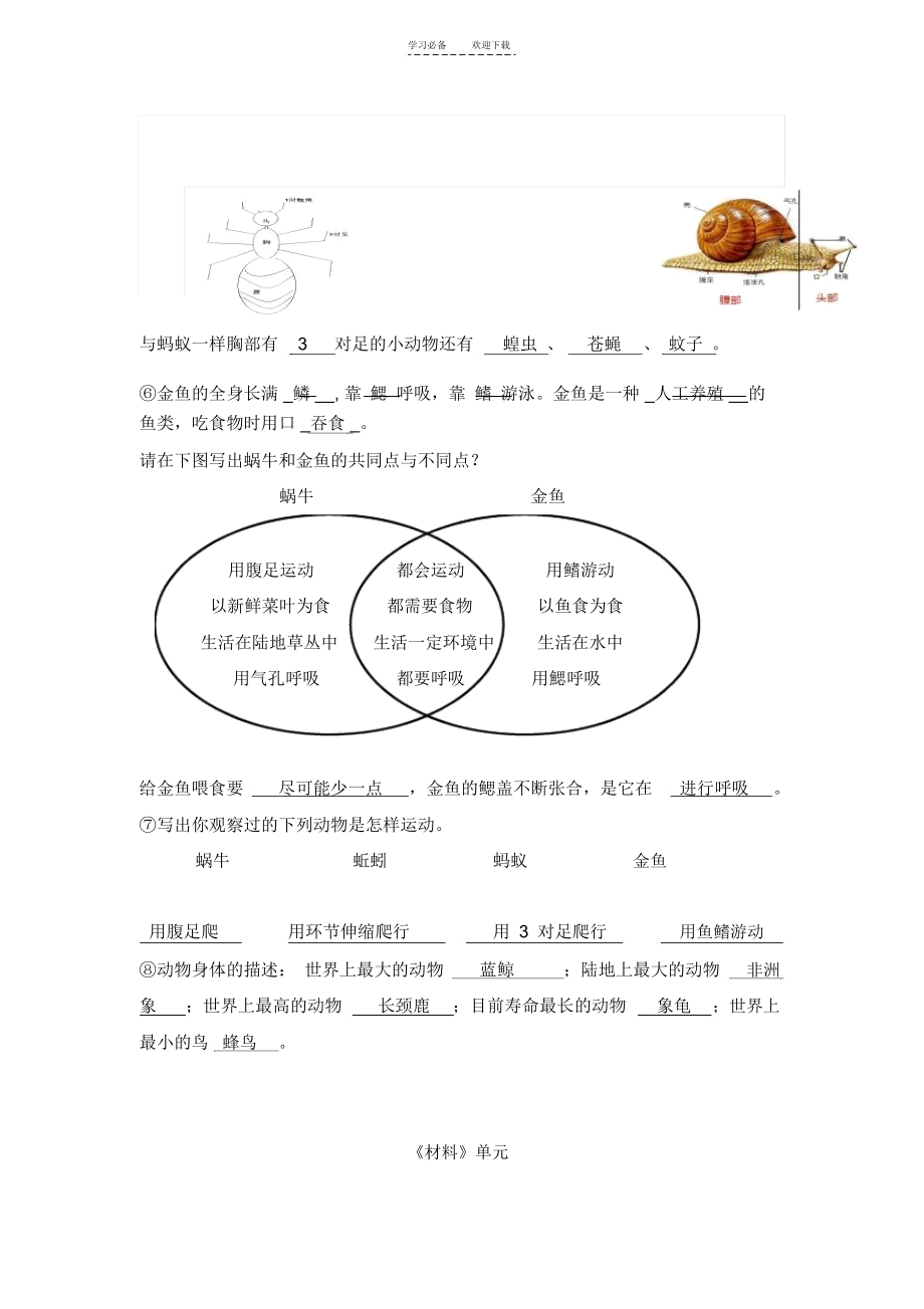 三年级上册科学基础知识复习_2641.docx_第3页