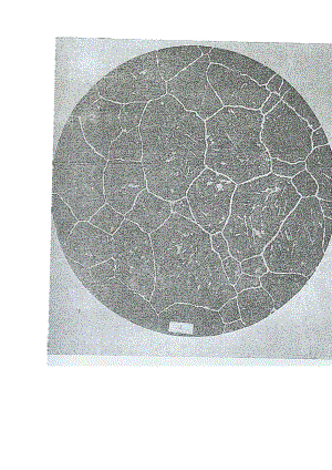 奥氏体晶粒金属平均晶粒度标准评级图(gb6394-2002).doc