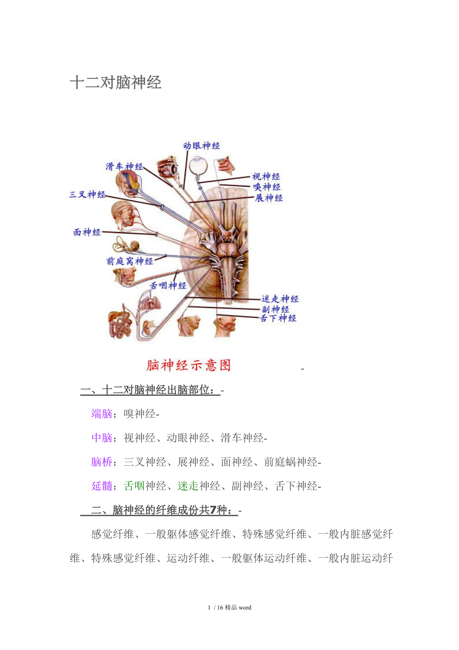 【精品】十二对脑神经(附图).doc_第1页