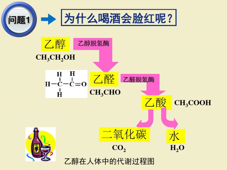 酒中精华──乙醇(5).docx_第3页