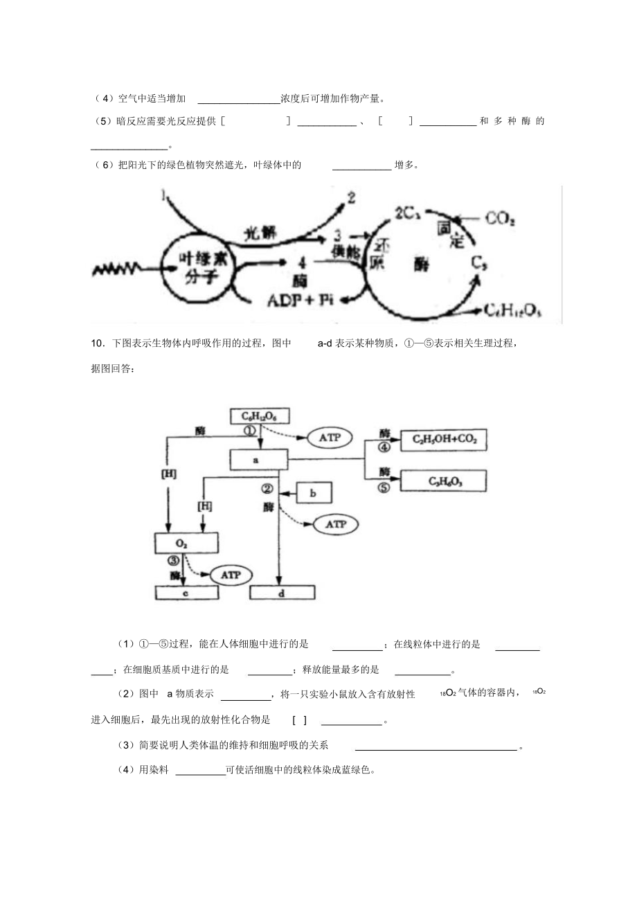 高中生物必修一第5章测试题.docx_第2页