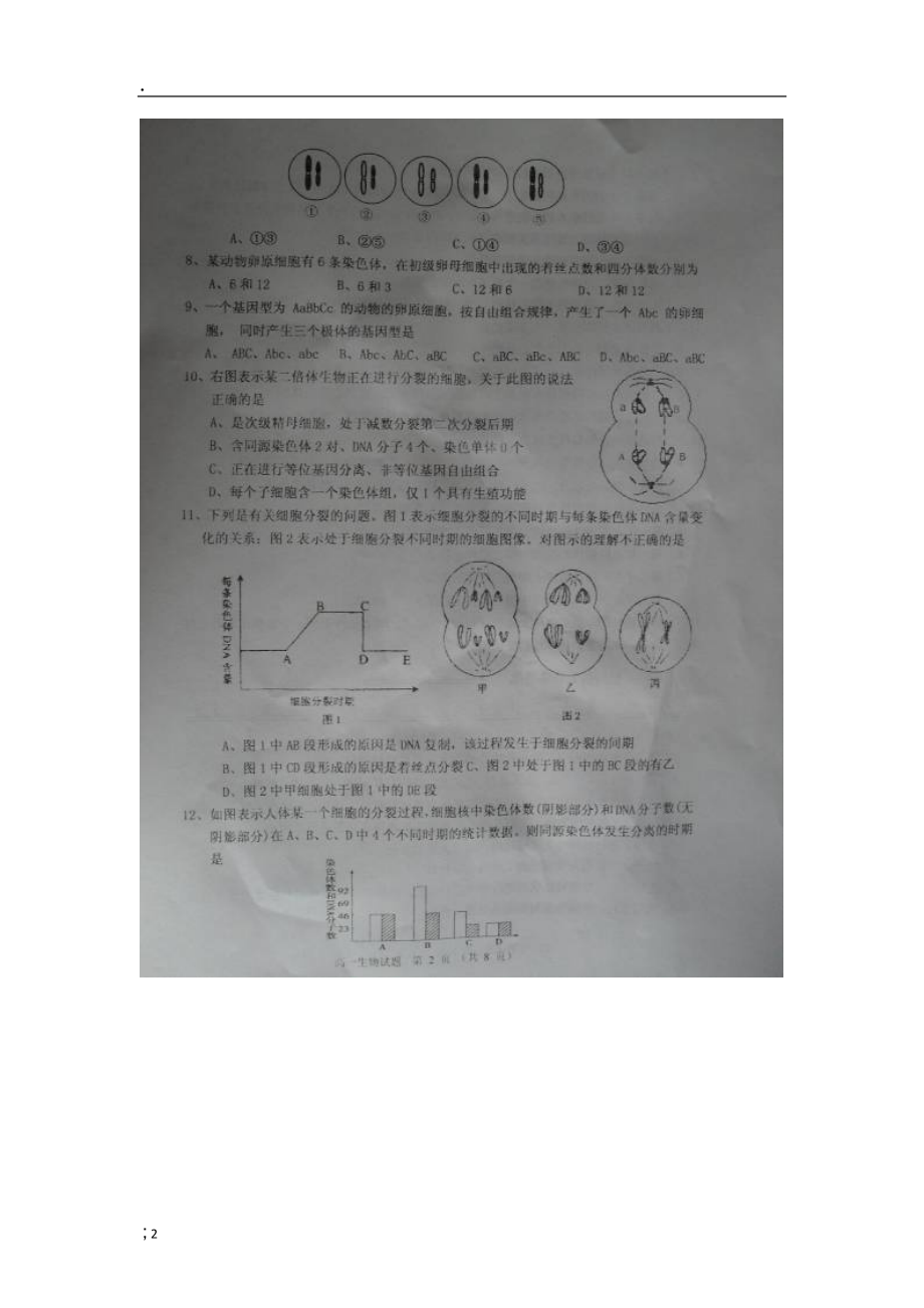 山东省章丘市2012-2013学年高一生物下学期期中试题（扫描版）新人教版.docx_第2页