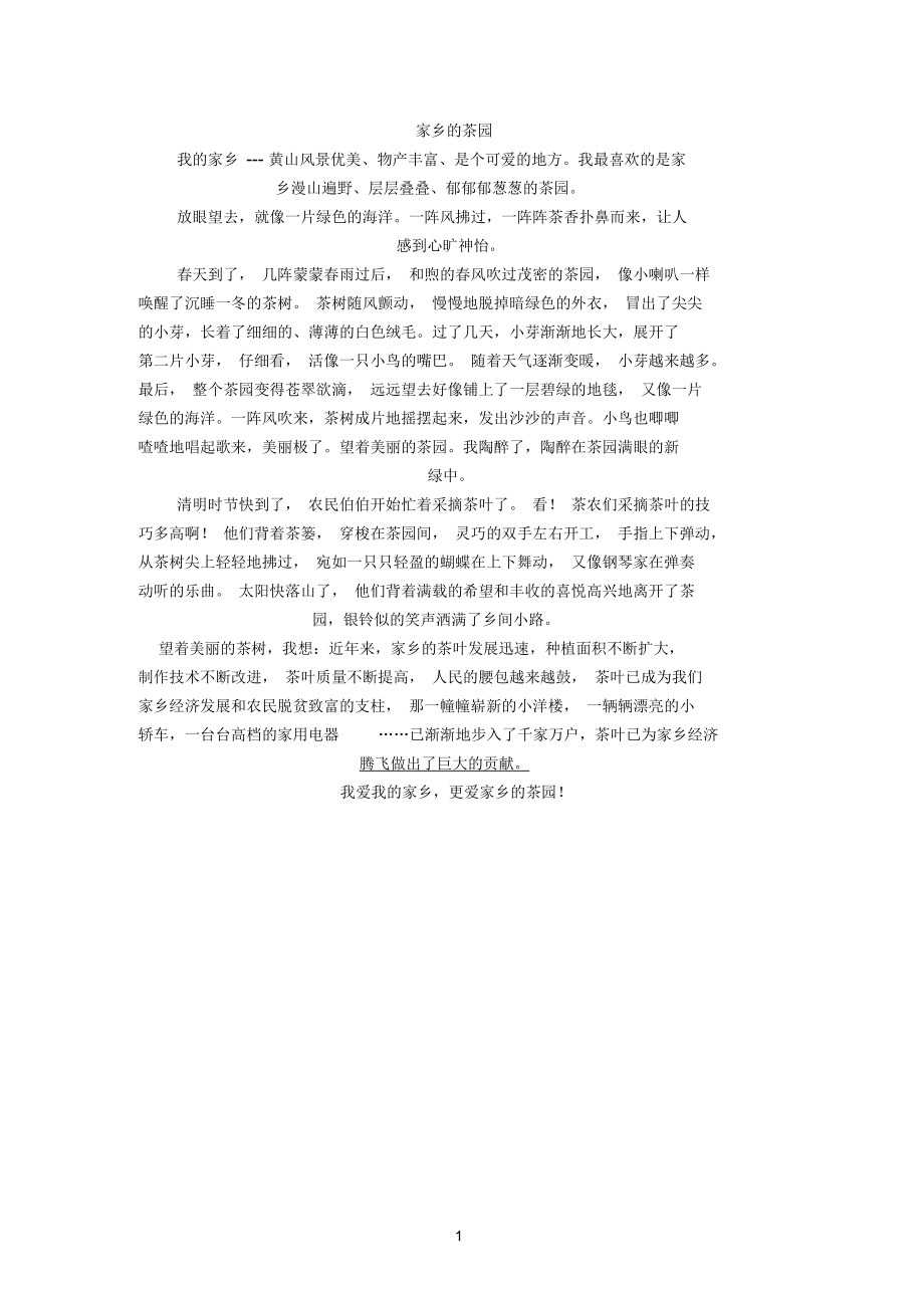 家乡的茶园.docx_第1页