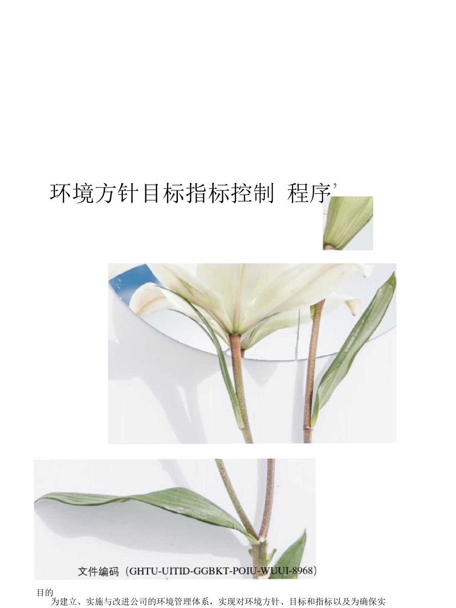 环境方针目标指标控制程序.docx_第1页