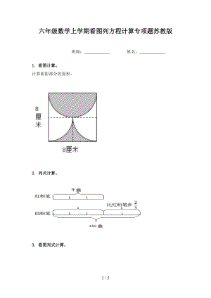 六年级数学上学期看图列方程计算专项题苏教版.doc