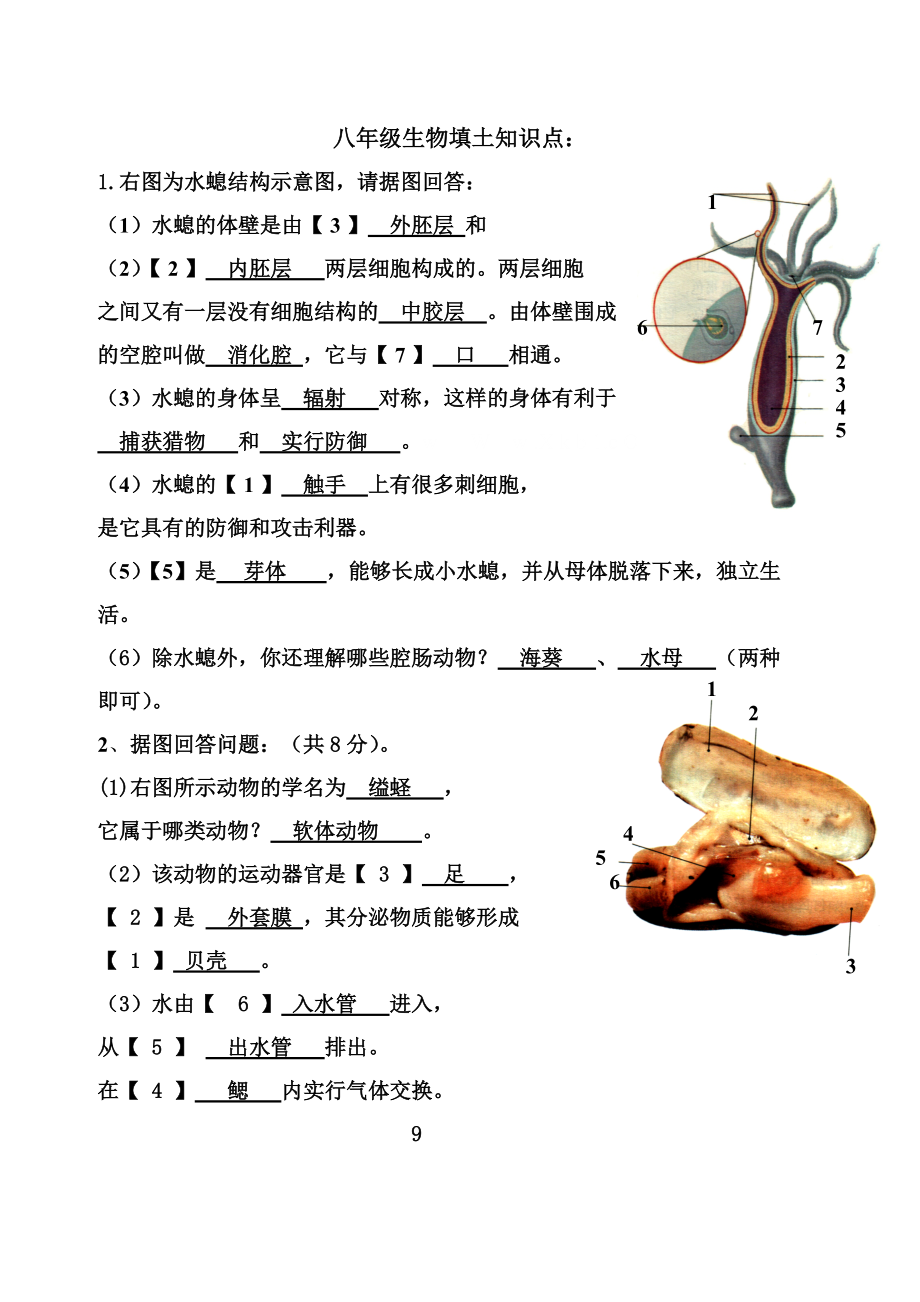 八年级生物填土知识点：.doc_第1页