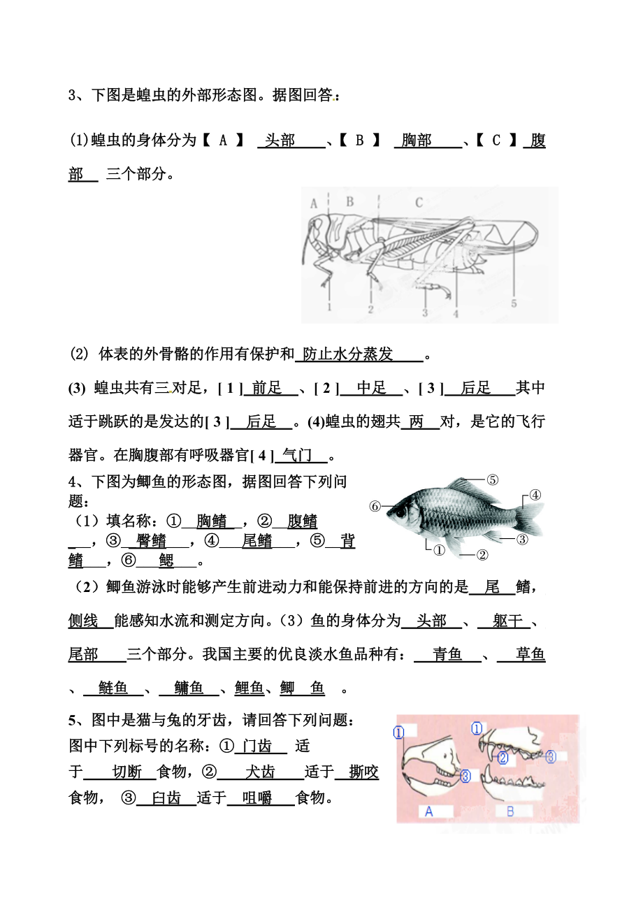 八年级生物填土知识点：.doc_第2页