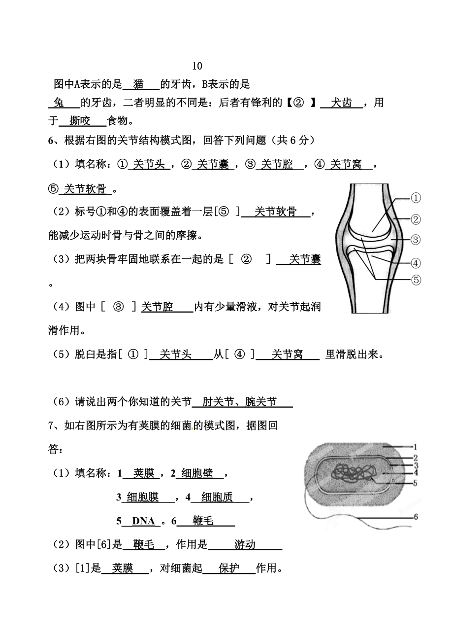 八年级生物填土知识点：.doc_第3页