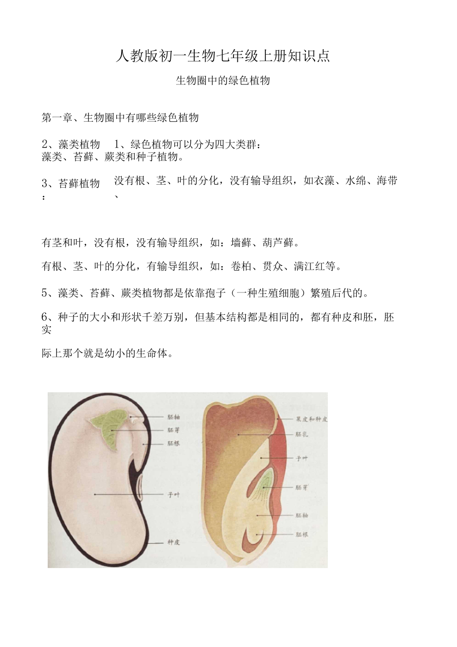 人教版初一生物七年级上册知识点——生物圈中的绿色植物.docx_第1页