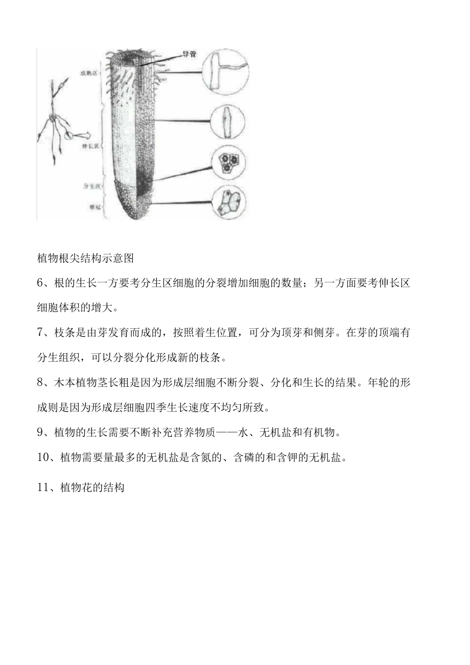 人教版初一生物七年级上册知识点——生物圈中的绿色植物.docx_第3页