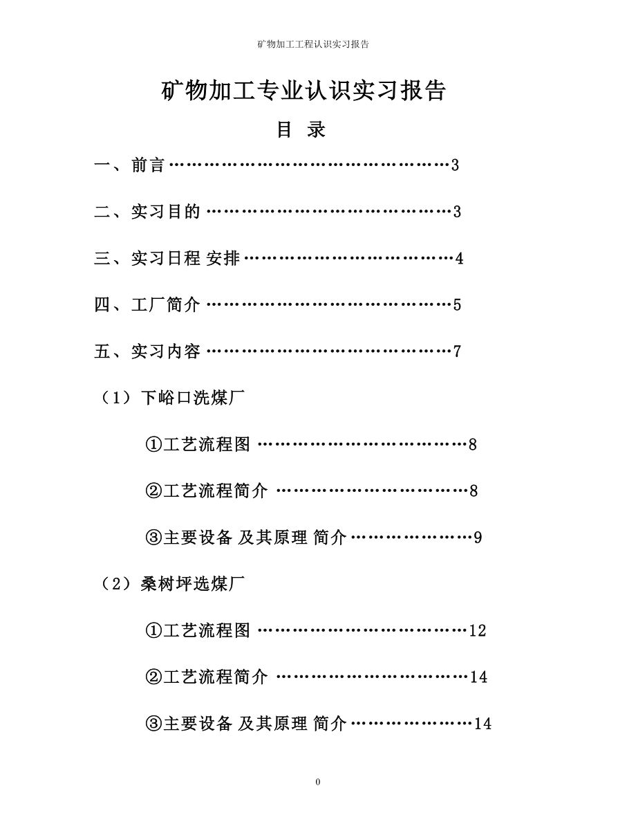 矿物加工工程认识实习报告.docx_第3页