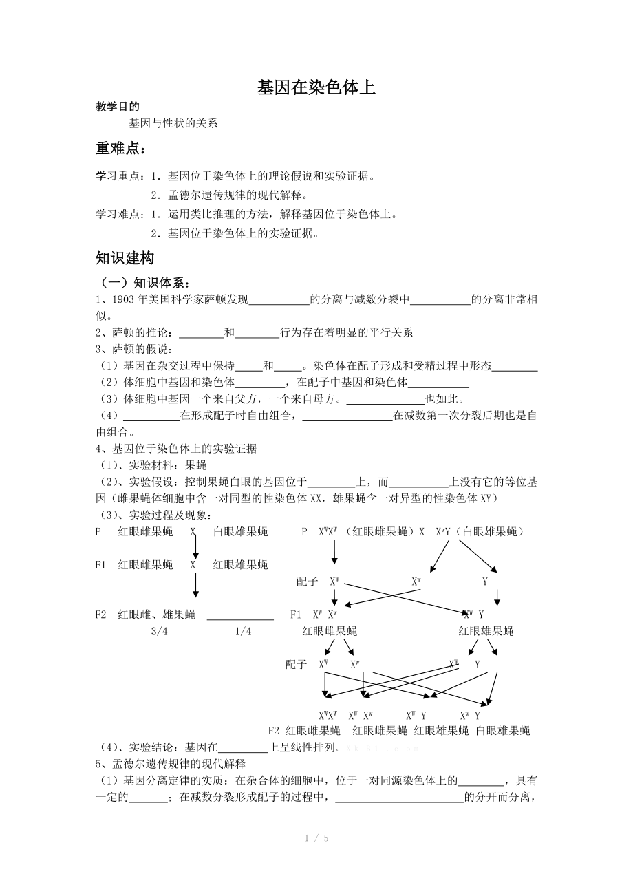 人教高中生物必修2导学案：第二章第2节 基因在染色体上.doc_第1页