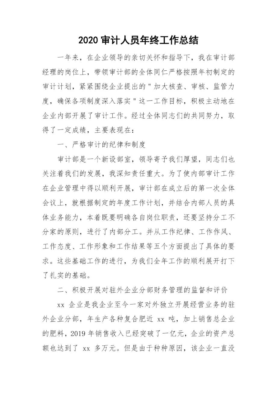 2020审计人员年终工作总结.docx_第1页