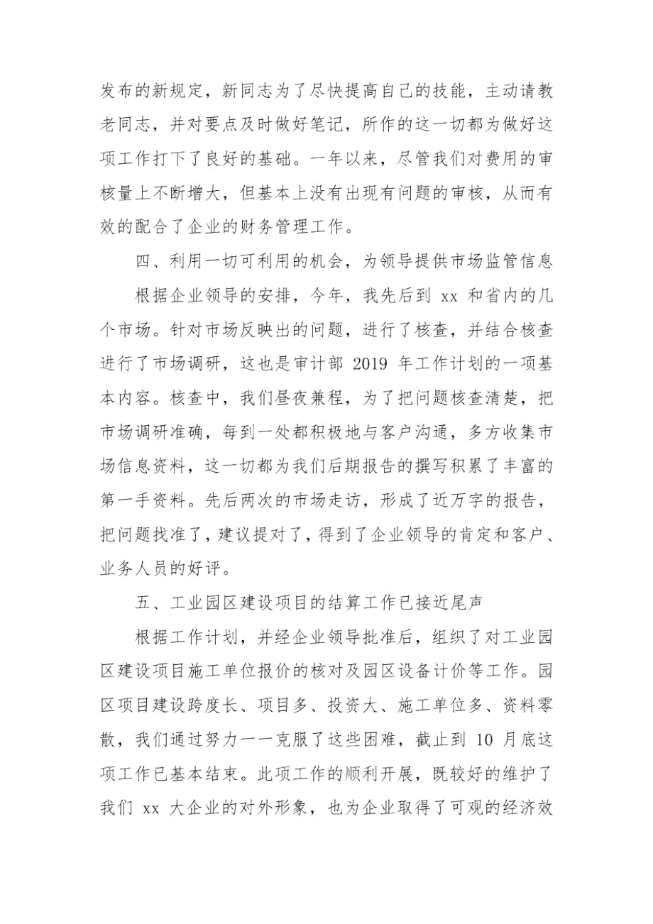 2020审计人员年终工作总结.docx_第3页